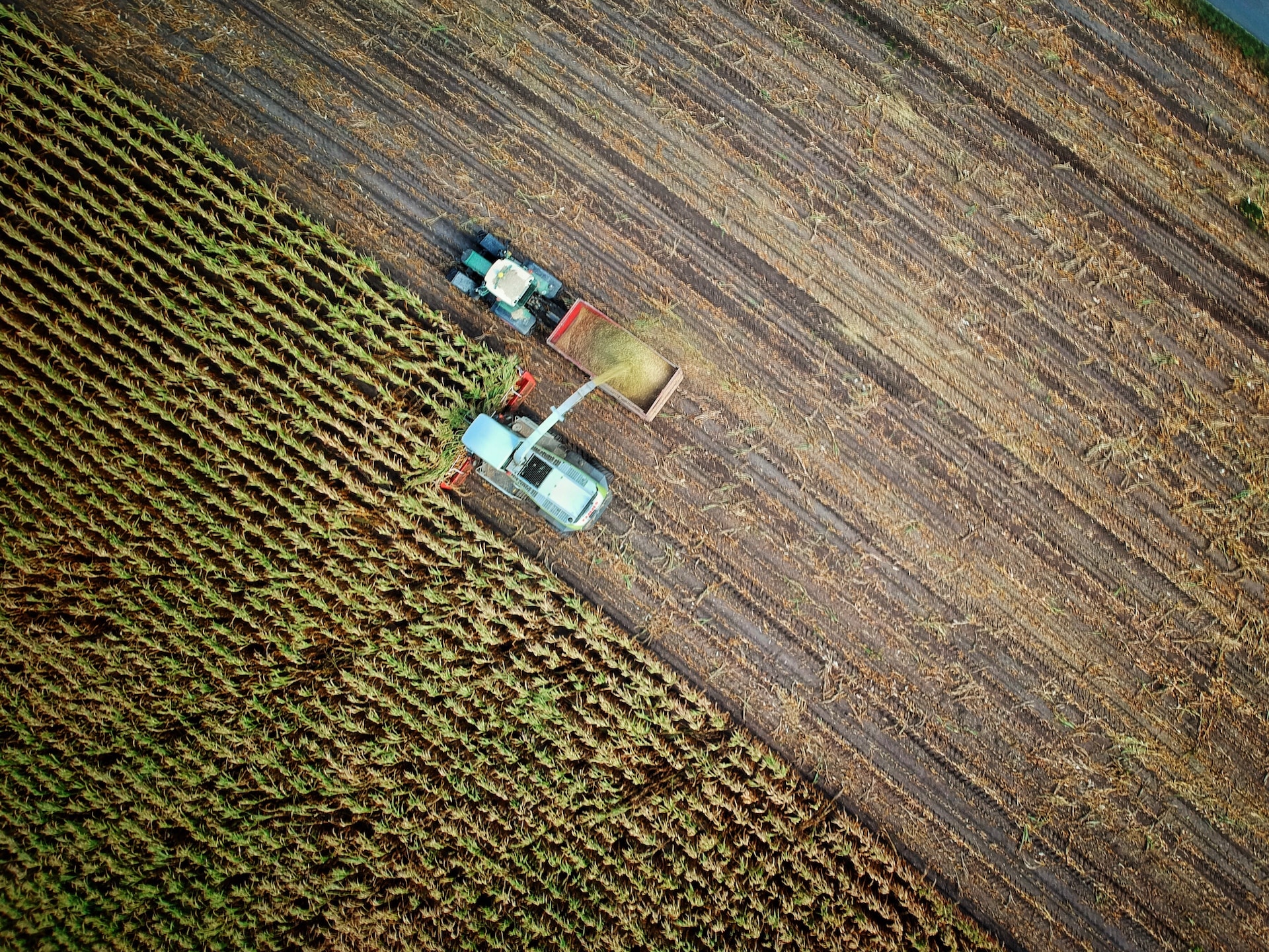 Tractor and combine harvester in field